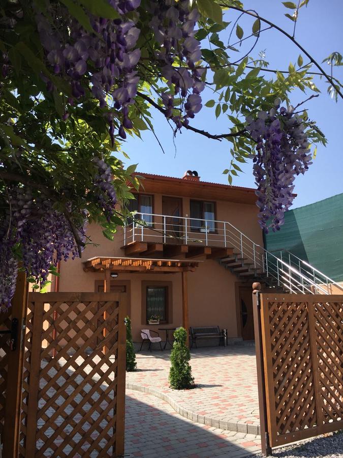 Holiday House Villa Berehove  Exterior photo
